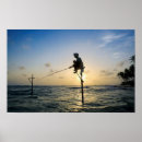 Search for stilt posters Beach
