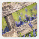 Search for texas bluebonnets stickers Meadow