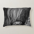 Search for scottish highland cow decor Scotland
