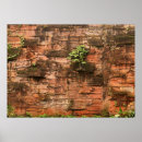 Search for barking art Background
