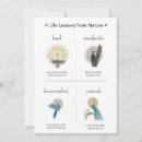 Search for lessons cards Nature