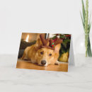 Search for animal christmas cards Dog