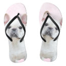 Search for french bulldog jandals Puppy