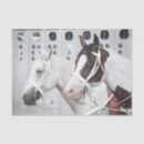 Search for horse tissue paper Animal