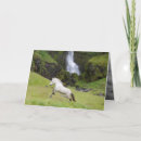 Search for waterfall cards White