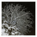 Search for spooky photography Goth