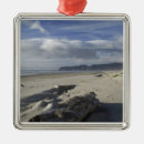 Search for dune christmas tree decorations Coast