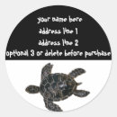 Search for black turtle stickers White