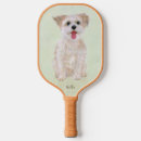 Search for morkie Morkie dog