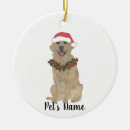 Search for golden retrievers christmas decor Santa