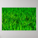 Search for growth posters Plant