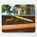 Search for praying mantis mousepads Animal