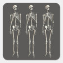 Search for human skeleton stickers Anatomy