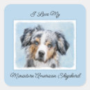 Search for australian shepherd puppy stickers Pet