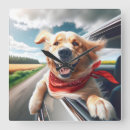 Search for bandanna art Dog