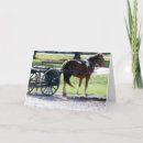 Search for harness cards Pony
