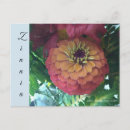 Search for floral postage postcards Botanical
