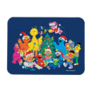 Search for big bird magnets Character