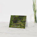 Search for bird perched on tree cards Wildlife
