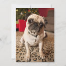Search for pug christmas cards Cute