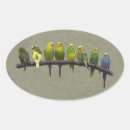 Search for parakeet stickers Pets