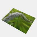 Search for curl photography Floral