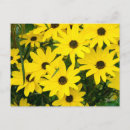 Search for bright postcards Cheerful