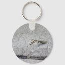 Search for mantis key rings Praying