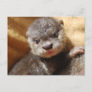 Search for orphans postcards Baby