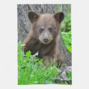 Search for brown bear tea towels Animals in the wild