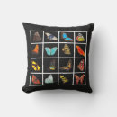 Search for butterflies photography Floral