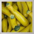 Search for squash art Veggie