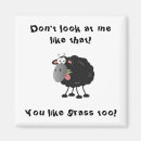Search for sheep lamb magnets Grass