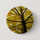 Search for autumn tree badges Yellow