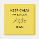 Search for agile magnets Scrum