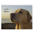 Search for labrador calendars Retriever