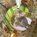 Search for domestic shorthair cat christmas tree decorations Feline