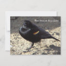 Search for winged postcards Animals