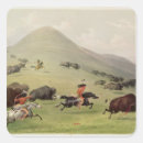 Search for indian buffalo stickers Bison