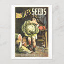Search for seeds postcards Advertisement