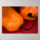 Search for pepper image posters Spicy