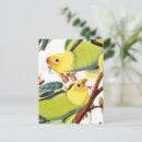 Search for multi colored postcards Green