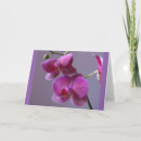 Search for phalaenopsis cards Floral