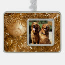 Search for pet supplies Keepsake