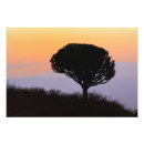 Search for silhouete art Africa