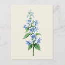 Search for redoute postcards Botanical