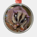 Search for sugar glider christmas tree decorations Australian