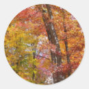 Search for autumn tree stickers Forest