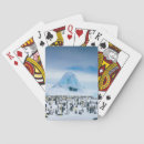 Search for penguins playing cards Nature