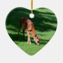 Search for whitetail deer christmas tree decorations Nature